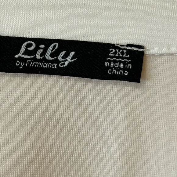 Lily By Firmiana -Cream Colored V-Necked Sleeveless Top - Picture 7 of 9